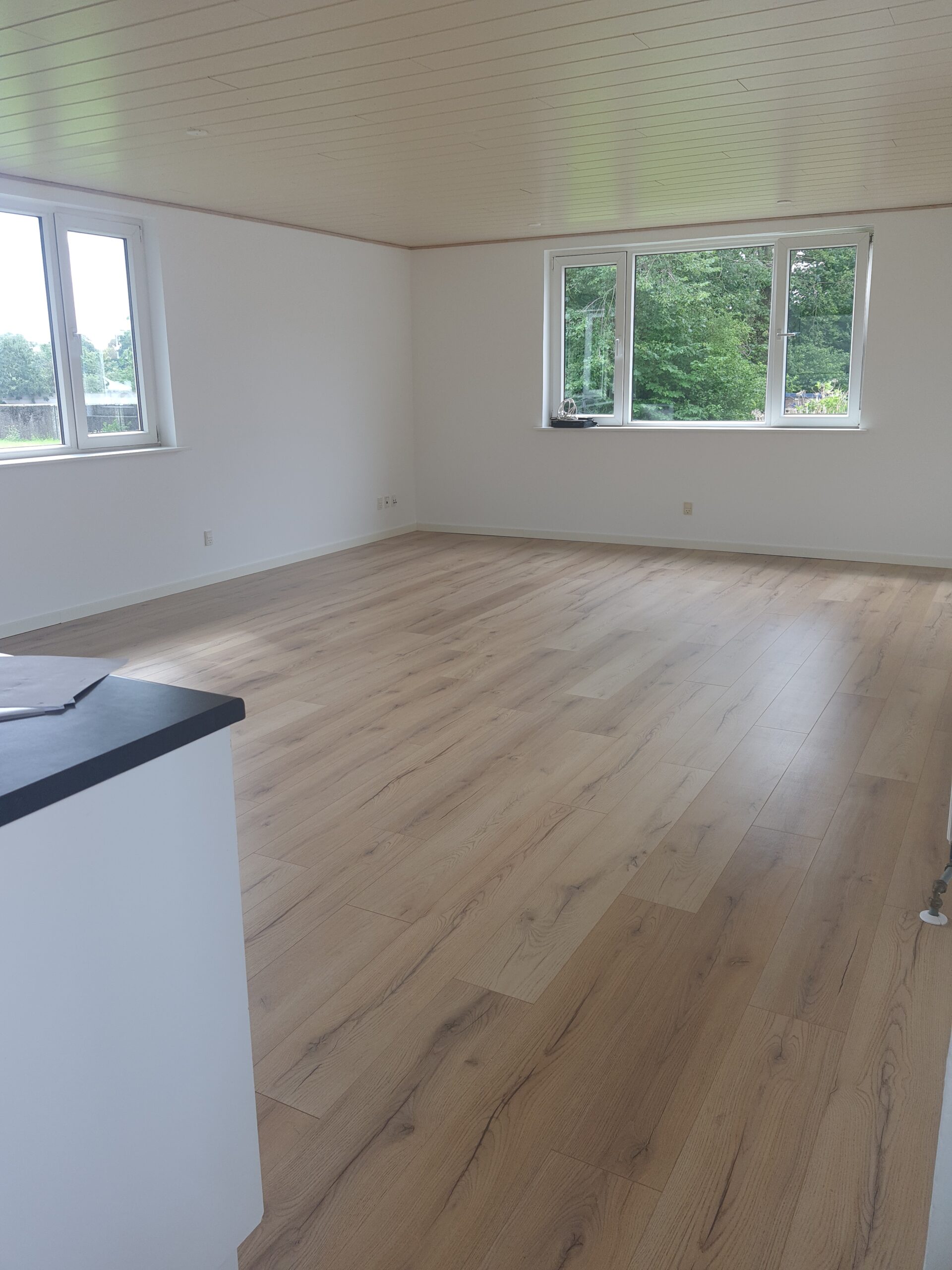 anneks rosenvænget stue